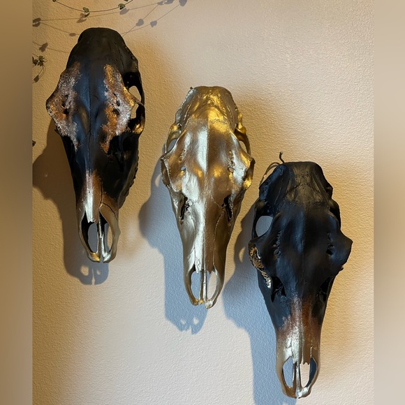 💀✨ hand painted cow elk skull - Picture 6 of 7